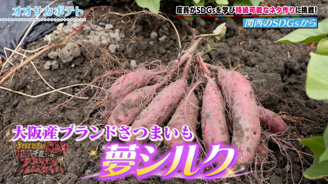 imgが入ります。